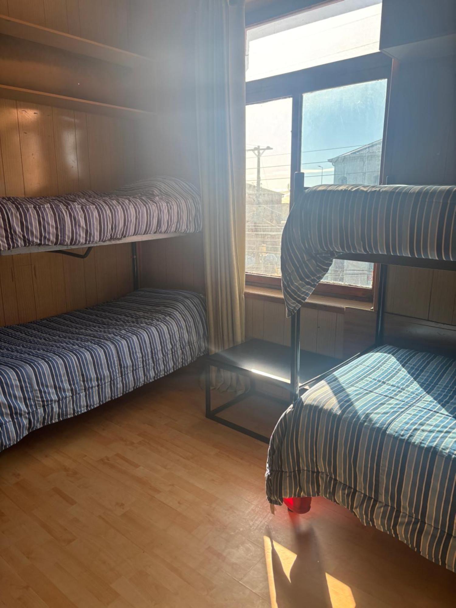 Hostel La Morenita Punta Arenas Bagian luar foto